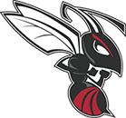 Heyworth-Hornets-Logo_Web-logo_updated